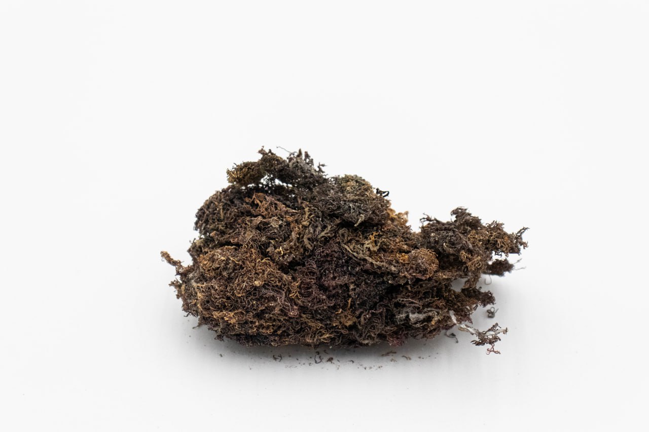 Flower Sea Moss raw wildcrafted